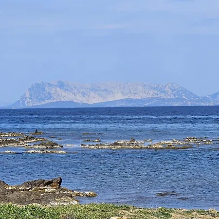 빌라 Platamona *